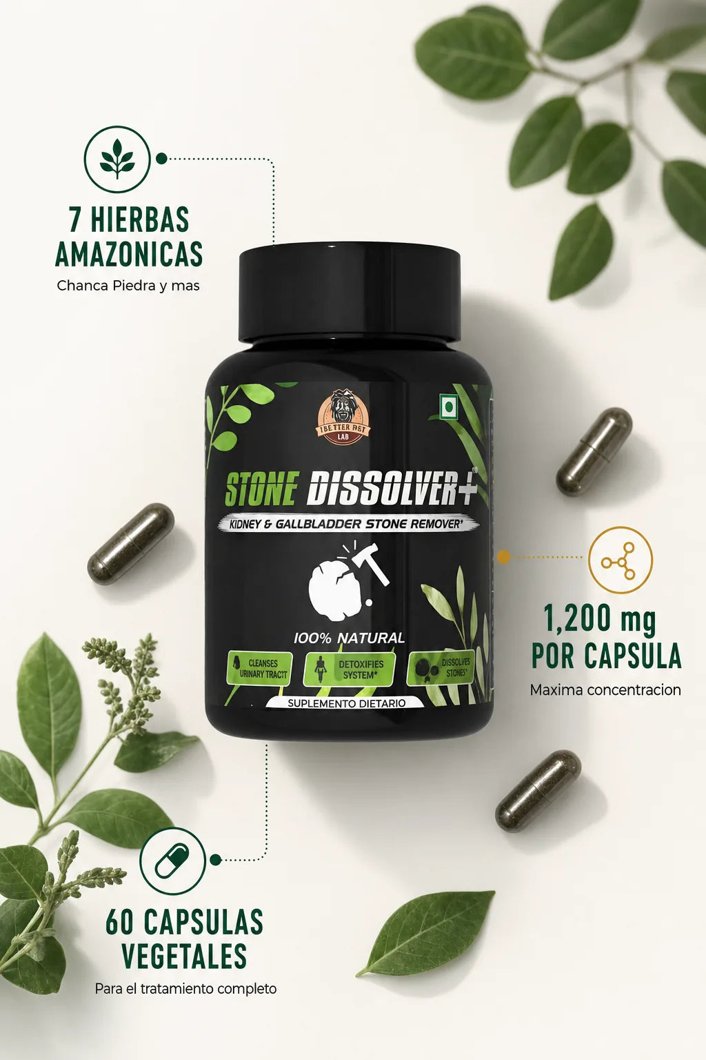 Stone Dissolver — ficha